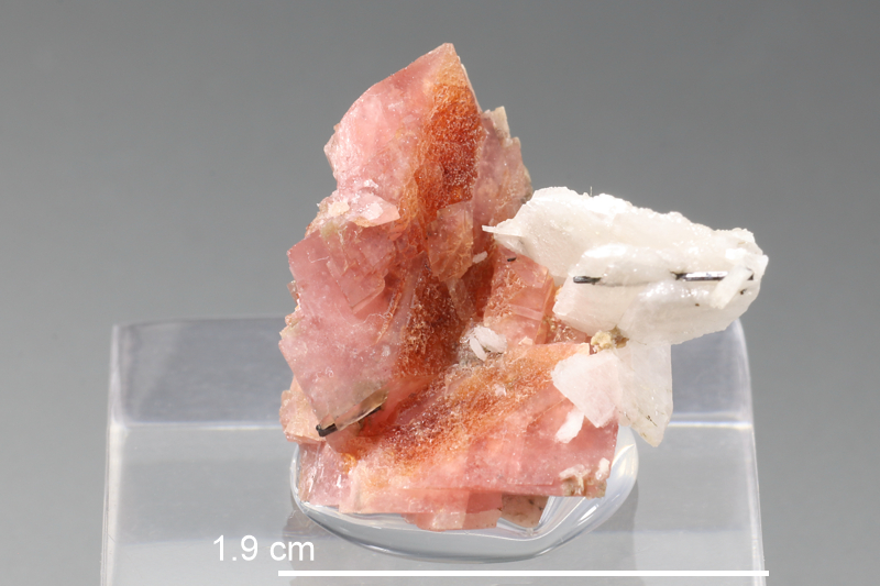 Rhodochrosite (Quebec)